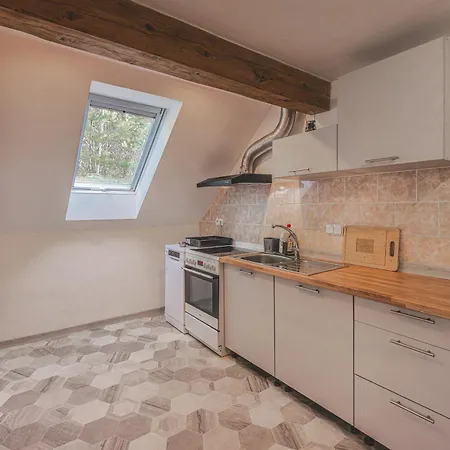Orlicky Apartments *