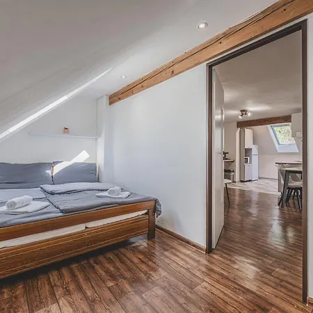 Orlicky Apartments Appartamento