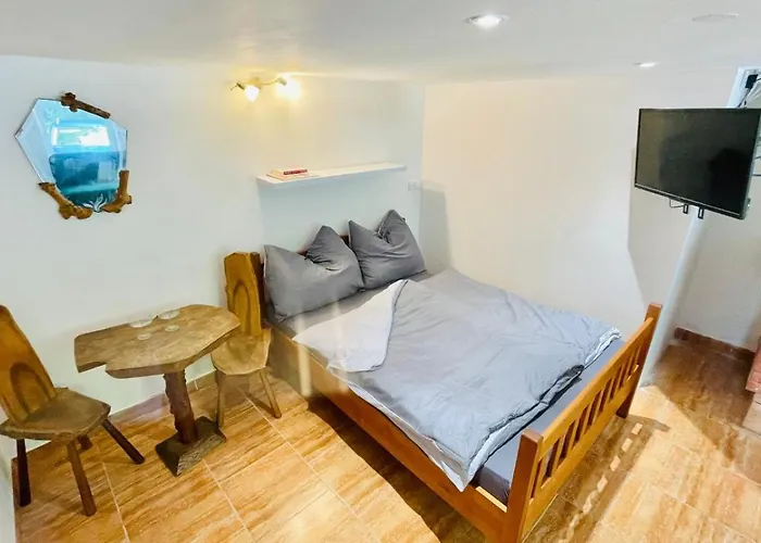 Apartamento Orlicky Apartments *